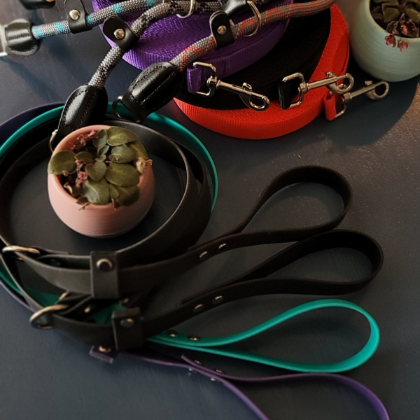 Rope Slip Lead Red