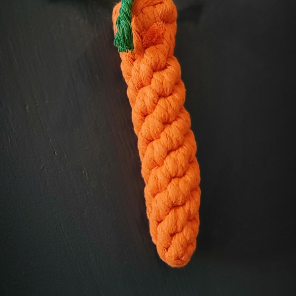 Carrot